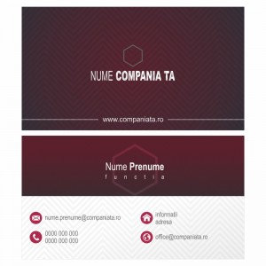 Model carti de vizita EK 20096-bordo