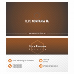 Model carti de vizita EK 20096-portocaliu