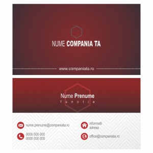 Model carti de vizita EK 20096-rosu