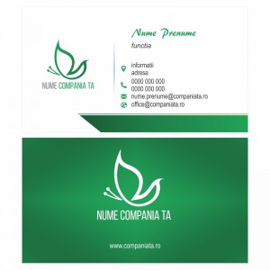 Model carti de vizita EK 20099-verde