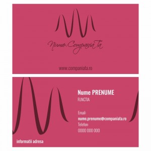 Model carti de vizita EK 20107-bordo