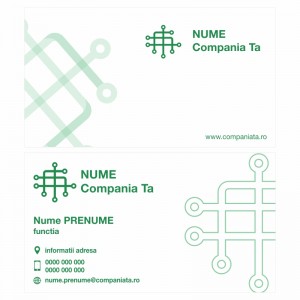 Model carti de vizita EK 20110-verde