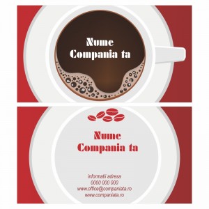 Model carti de vizita EK 20117-rosu