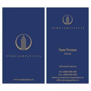 Model carti de vizita EK 20124-albastru