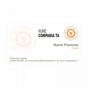 Model carti de vizita EK 20135-portocaliu