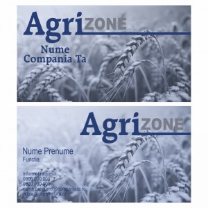 Model carti de vizita EK 20153-albastru