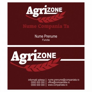 Model carti de vizita EK 20154-rosu