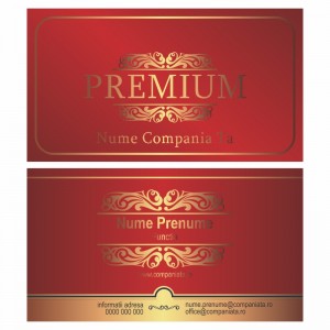 Model carti de vizita EK 20160-rosu