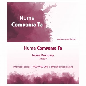 Model carti de vizita EK 20169-bordo