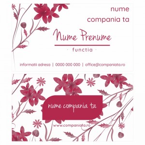 Model carti de vizita EK 20171-bordo