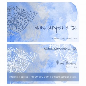 Model carti de vizita EK 20172-albastru