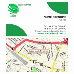 Model carti de vizita EK 20187-verde