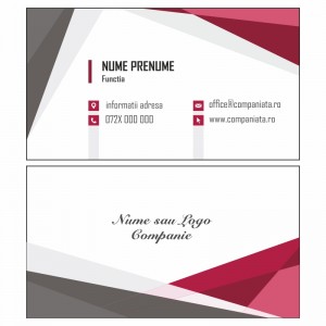 Model carti de vizita EK 20193-bordo