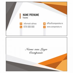 Model carti de vizita EK 20193-portocaliu