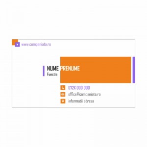 Model carti de vizita EK 20198-portocaliu
