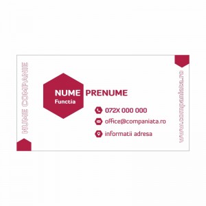 Model carti de vizita EK 20199-bordo