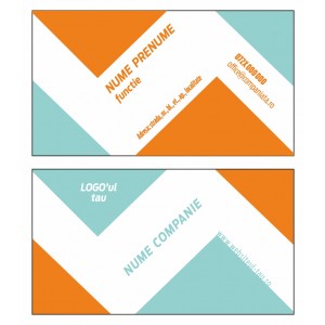 Model carti de vizita EK 20200-portocaliu