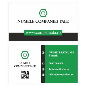 Model carti de vizita EK 20203-verde