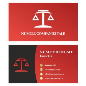 Model carti de vizita EK 20205-rosu