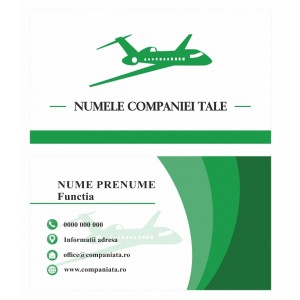 Model carti de vizita EK 20206-verde